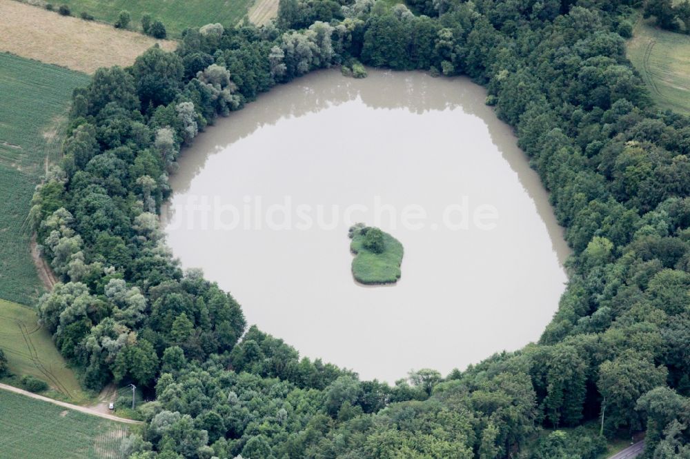 Leutenheim von oben - See- Insel auf dem Wald umsäumten Weier in Leutenheim in Grand Est, Frankreich