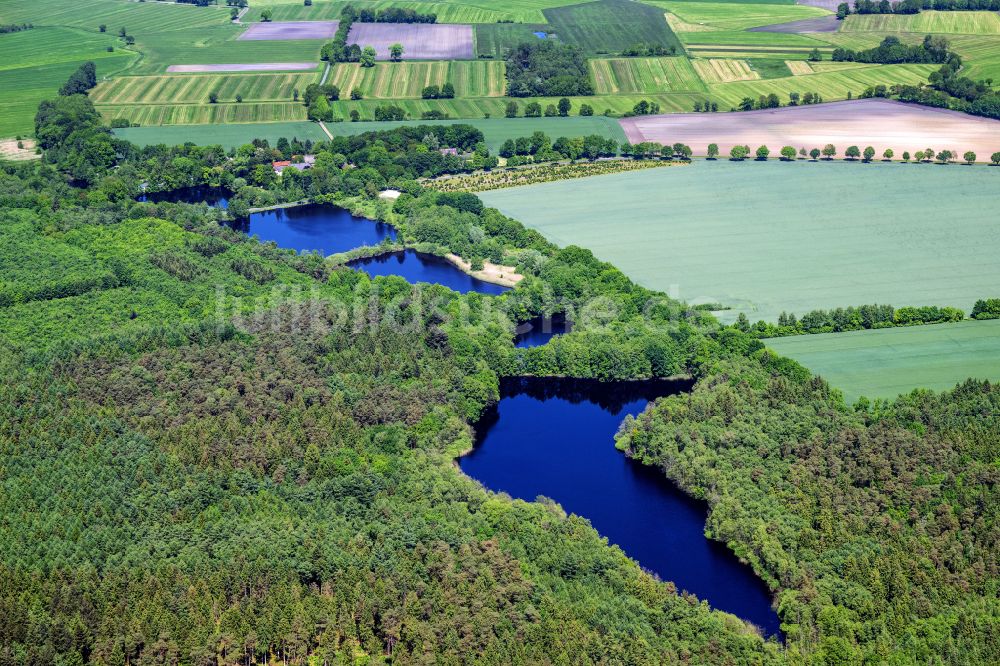 Oldendorf von oben - See- Uferbereichen im Wald in Sunde bei Oldendorf im Bundesland Niedersachsen, Deutschland