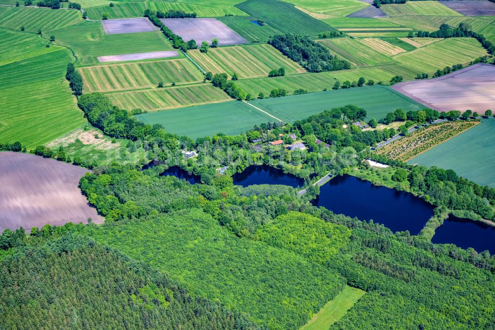 Luftbild Oldendorf - See- Uferbereichen im Wald in Sunde bei Oldendorf im Bundesland Niedersachsen, Deutschland