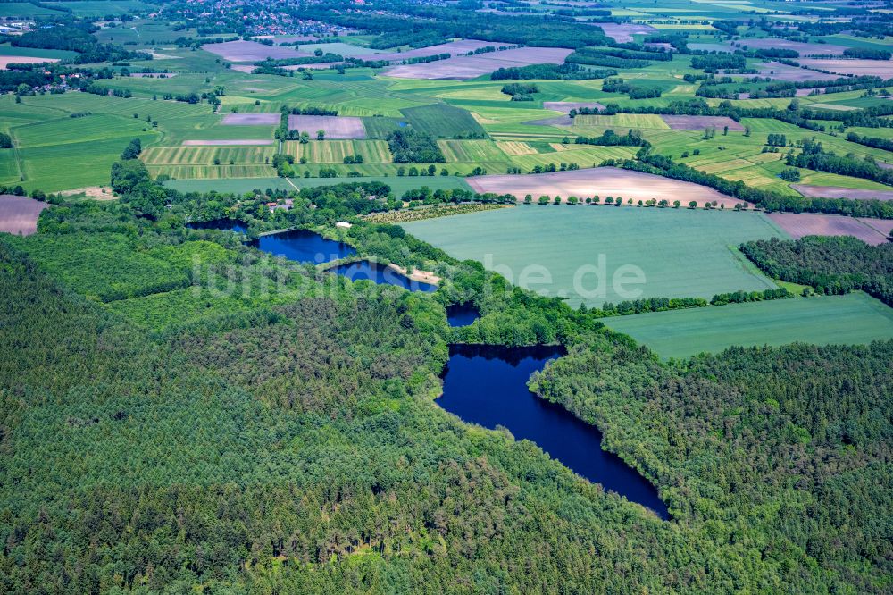 Luftaufnahme Oldendorf - See- Uferbereichen im Wald in Sunde bei Oldendorf im Bundesland Niedersachsen, Deutschland