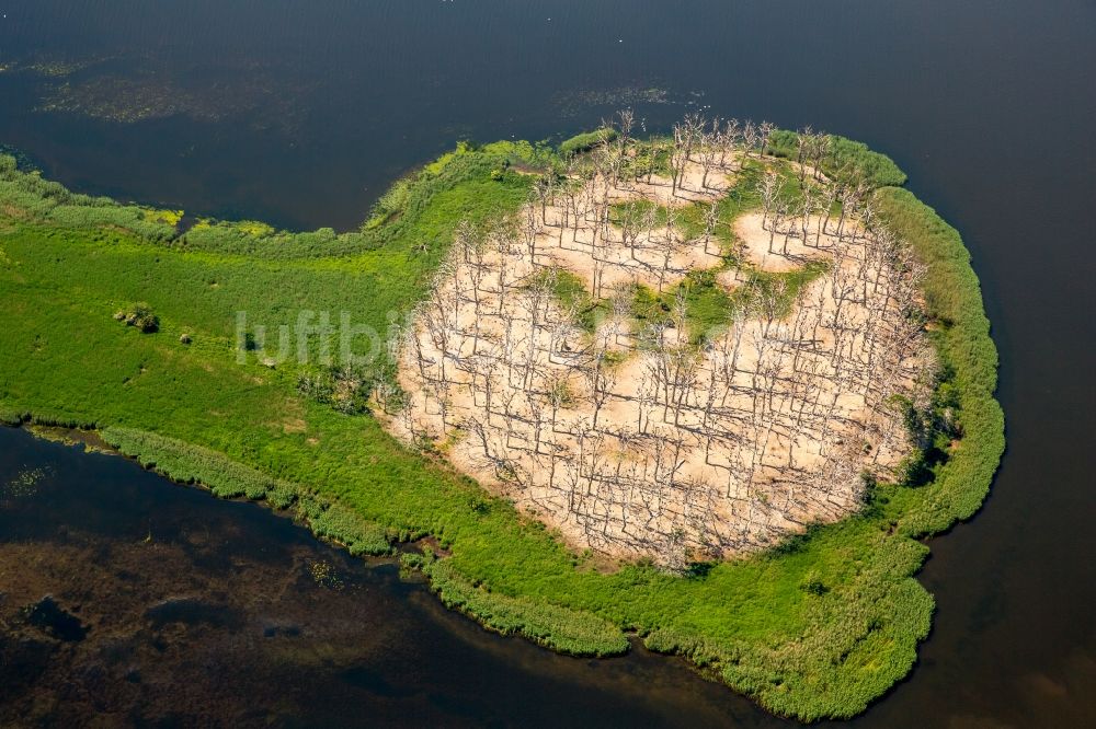 Luftbild Polchowo - Seen- Kette und Uferbereiche in Polchowo in Westpommern, Polen