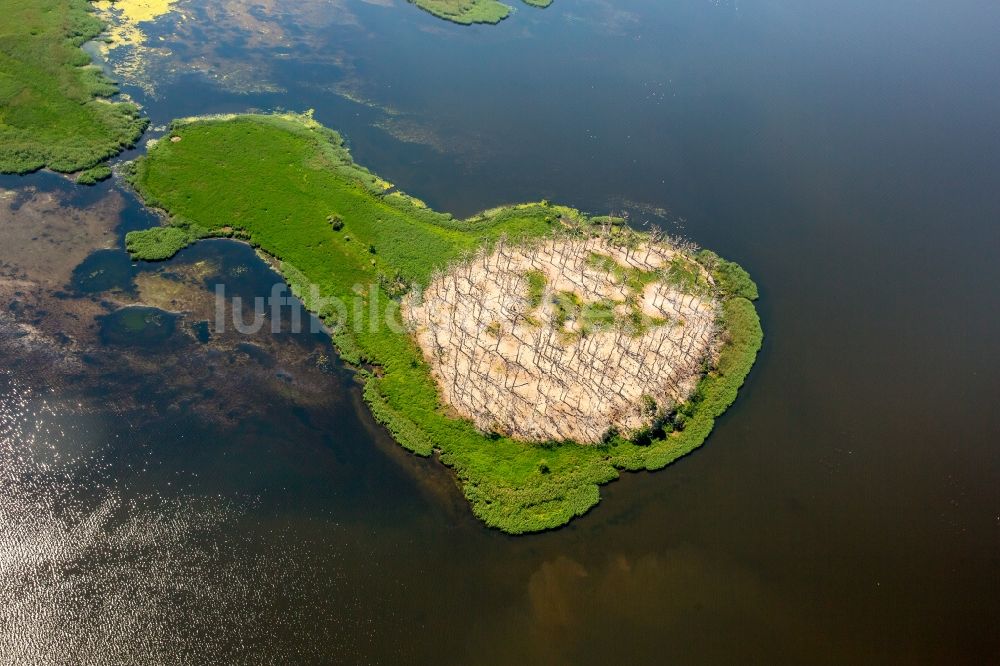 Luftaufnahme Polchowo - Seen- Kette und Uferbereiche in Polchowo in Westpommern, Polen