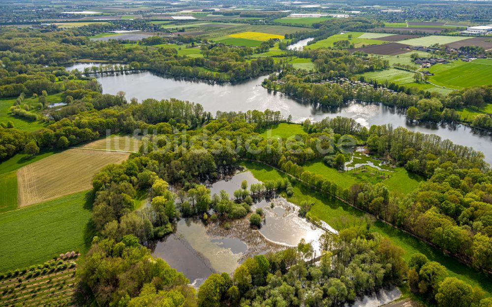 Nettetal von oben - Seen- Kette und Uferbereiche des Sees Großer De Wittsee - Krickenbecker Seen in Nettetal im Bundesland Nordrhein-Westfalen, Deutschland