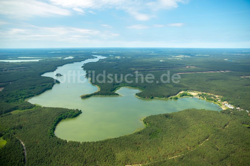 Wdzydze Kiszewskie aus der Vogelperspektive: Seen- Kette und Uferbereiche des Sees Jezioro Golun in Wdzydze Kiszewskie in Pomorskie, Polen