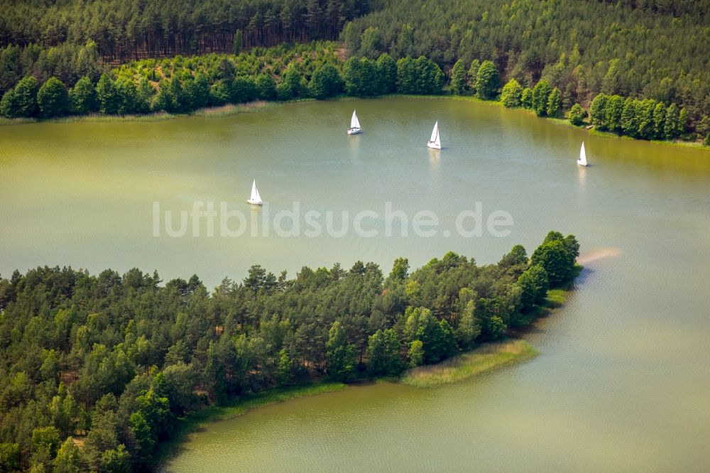 Wdzydze Kiszewskie aus der Vogelperspektive: Seen- Kette und Uferbereiche des Sees Jezioro Golun in Wdzydze Kiszewskie in Pomorskie, Polen