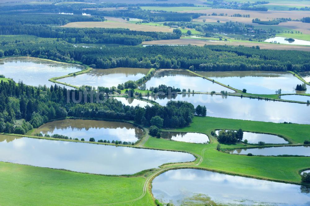 Luftbild Wüstenwetzdorf - Seenlandschaft / Fischteiche bei Wüstenwetzdorf / Auma in Thüringen