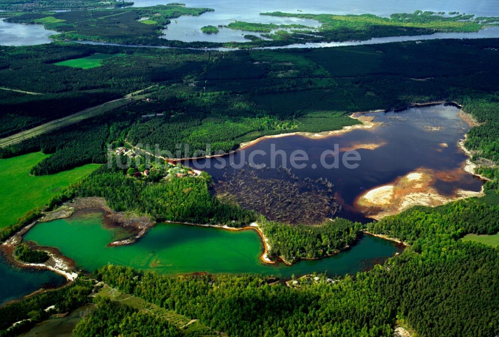 Senftenberg aus der Vogelperspektive: Seenlandschaft des Senftenberger Sees in Senftenberg im Bundesland Brandenburg