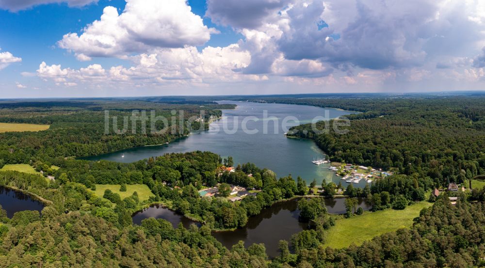 Schorfheide von oben - Seeufer des Werbellinsees in Wildau im Bundesland Brandenburg, Deutschland