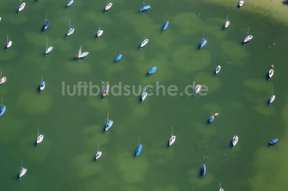 Luftaufnahme Ammersee - Segelboote vor Anker in Herrsching am Ammersee im Bundesland Bayern