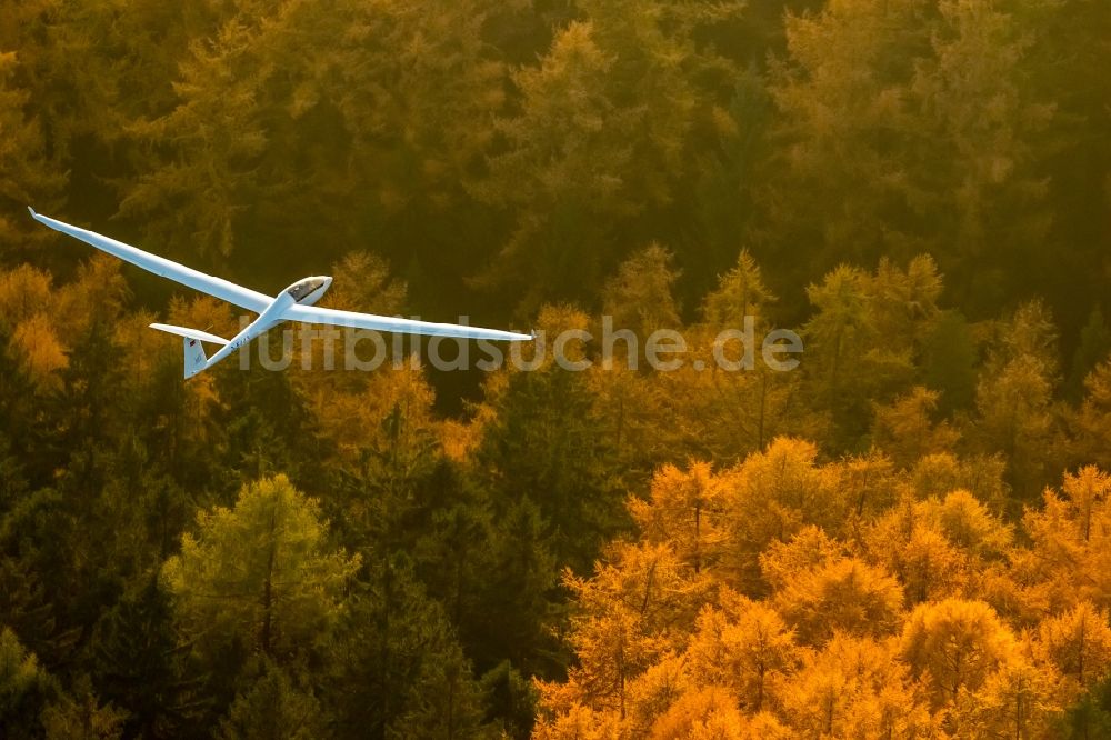 Hamm aus der Vogelperspektive: Segelflugzeug Duo Discus im Fluge über dem Luftraum in Hamm im Bundesland Nordrhein-Westfalen