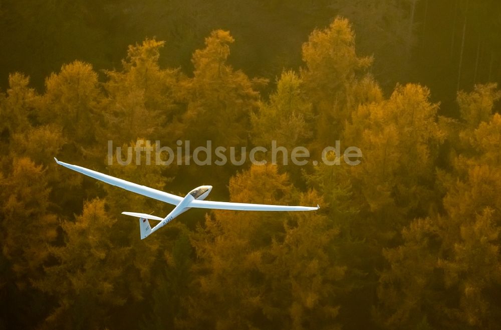 Luftaufnahme Hamm - Segelflugzeug Duo Discus im Fluge über dem Luftraum in Hamm im Bundesland Nordrhein-Westfalen