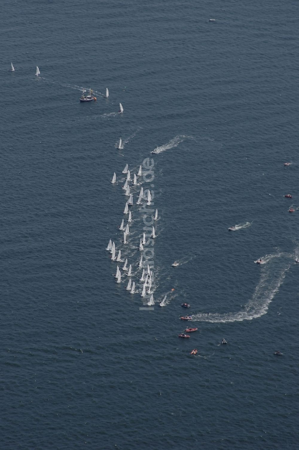 Kieler Förde von oben - Segelregatta auf der Kieler Förde im Bundesland Schleswig-Holstein