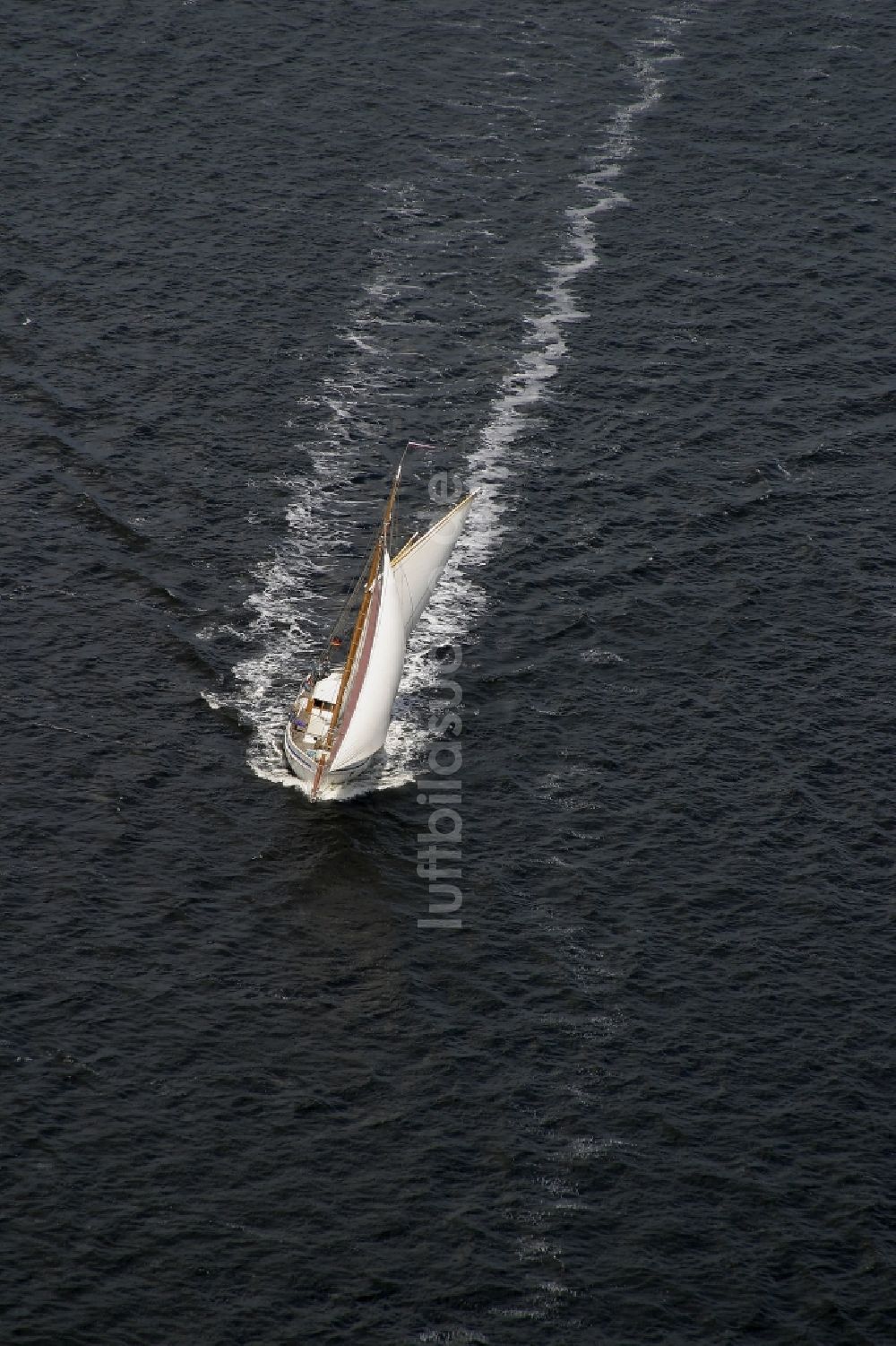 Luftbild Flensburger Förde - Segelschiff in Fahrt in Flensburger Förde im Bundesland Schleswig-Holstein