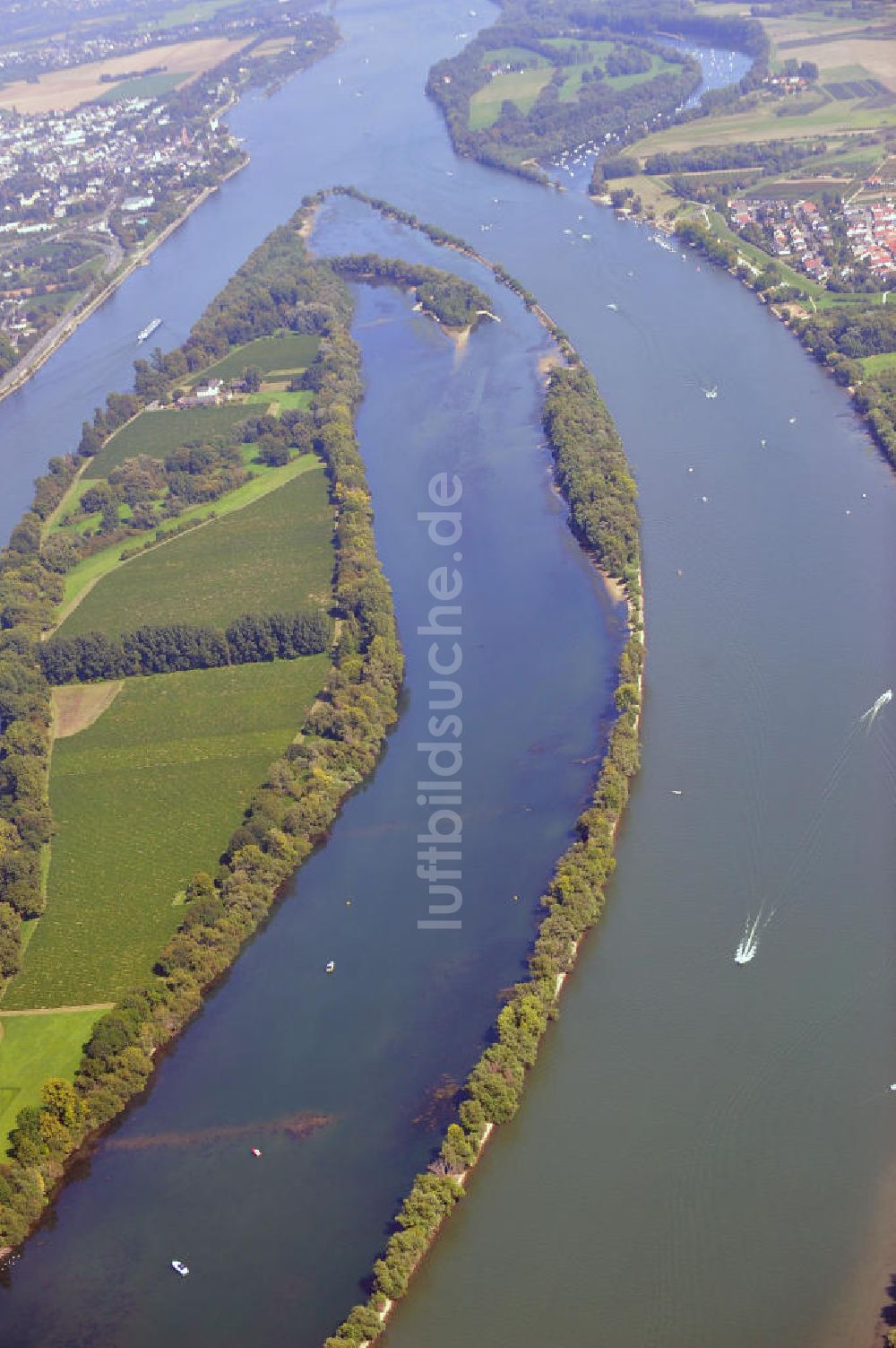 Luftbild ELTVILLE AM RHEIN - Segelschiffe und Sportboote auf dem Rhein an der Mariannenaue bei Eltville in Hessen