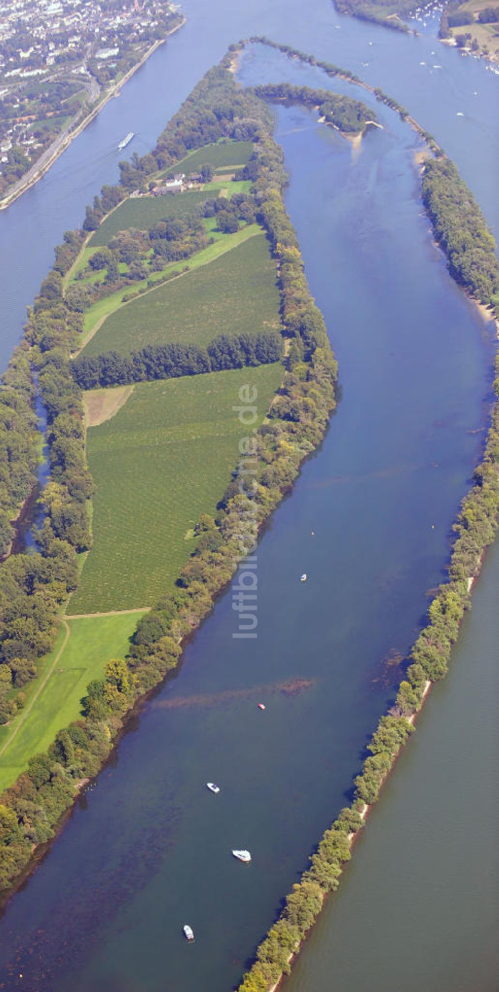 Luftaufnahme ELTVILLE AM RHEIN - Segelschiffe und Sportboote auf dem Rhein an der Mariannenaue bei Eltville in Hessen