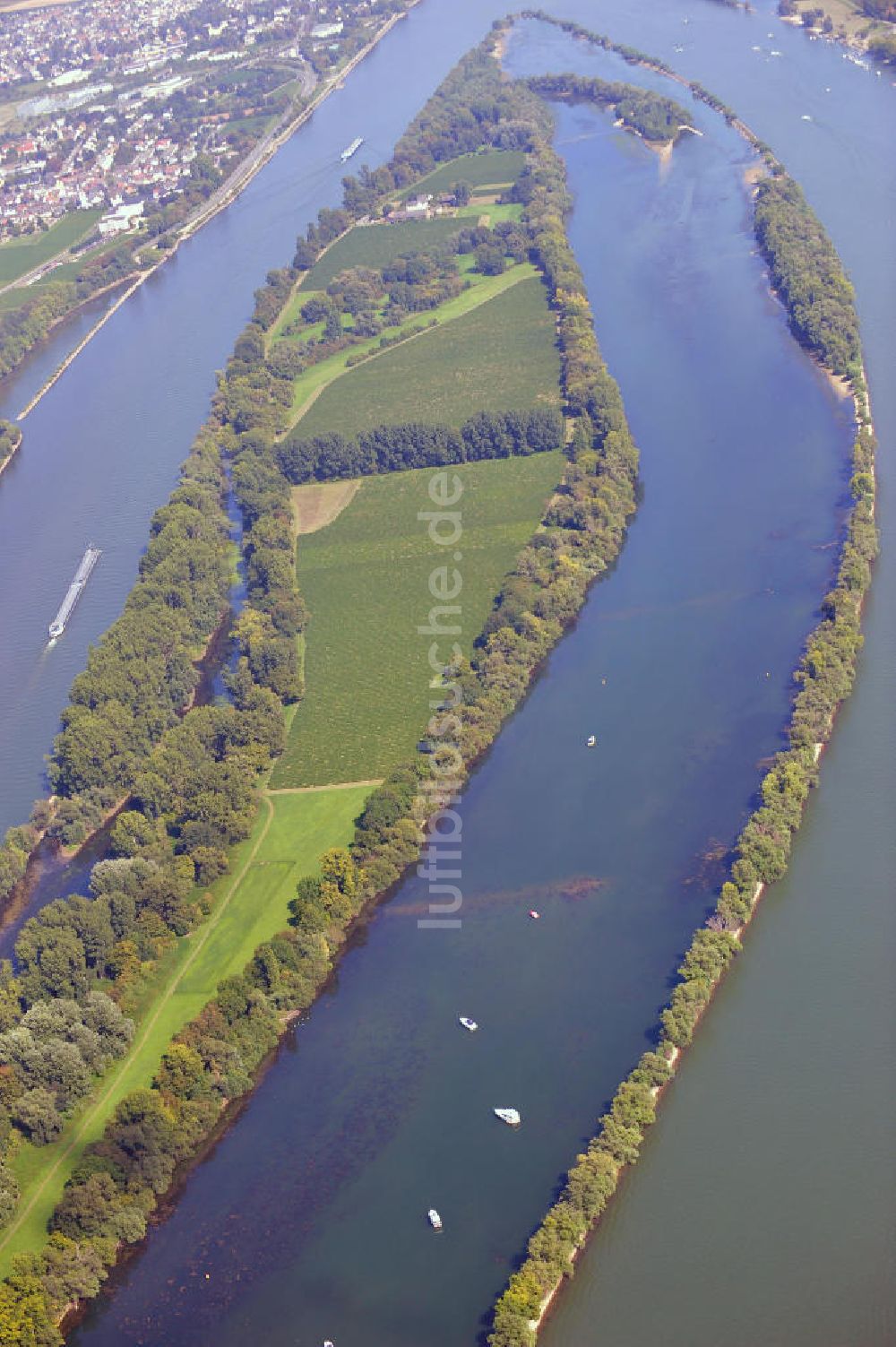 ELTVILLE AM RHEIN von oben - Segelschiffe und Sportboote auf dem Rhein an der Mariannenaue bei Eltville in Hessen