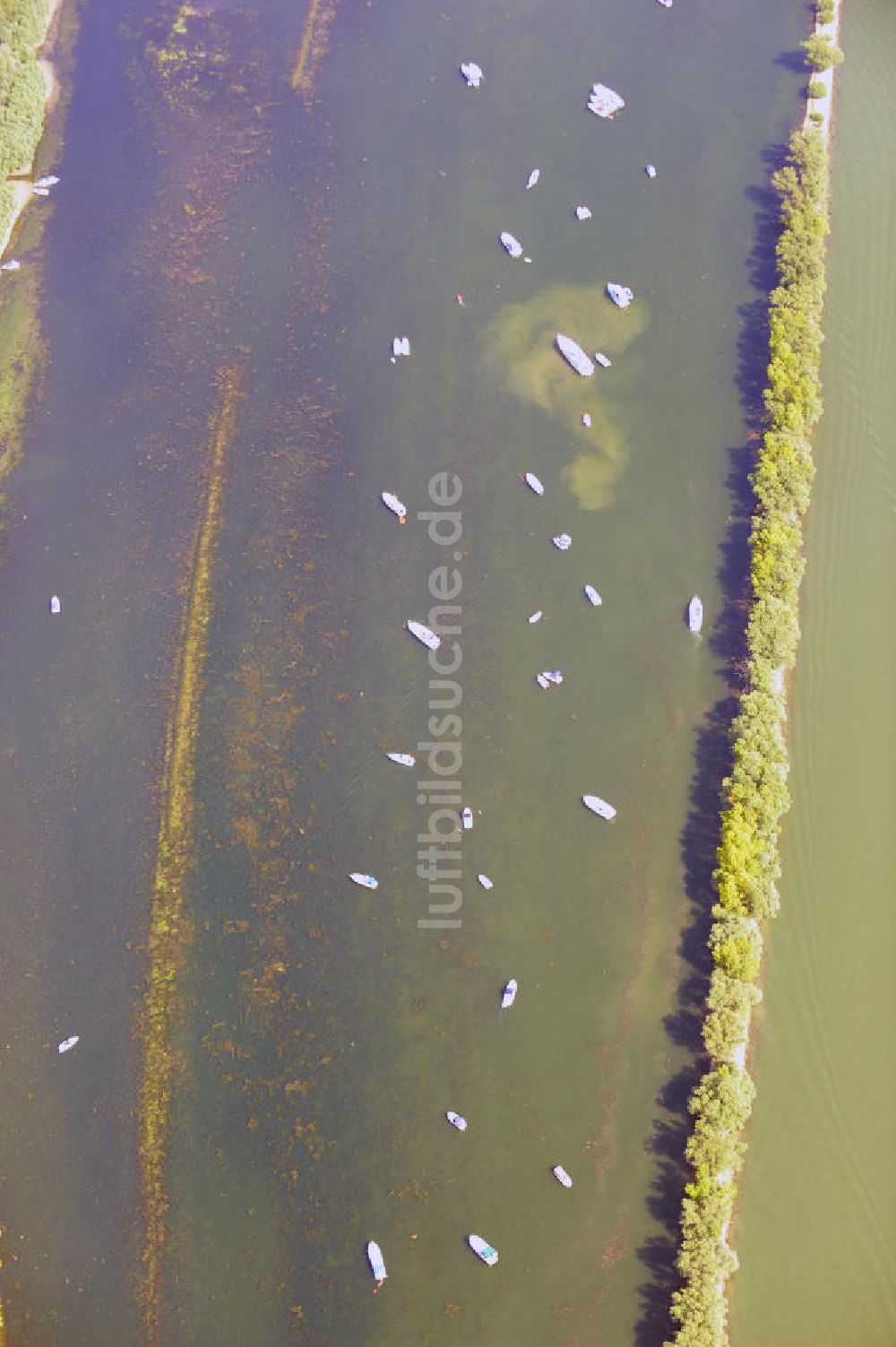 ELTVILLE AM RHEIN aus der Vogelperspektive: Segelschiffe und Sportboote auf dem Rhein an der Mariannenaue bei Eltville in Hessen