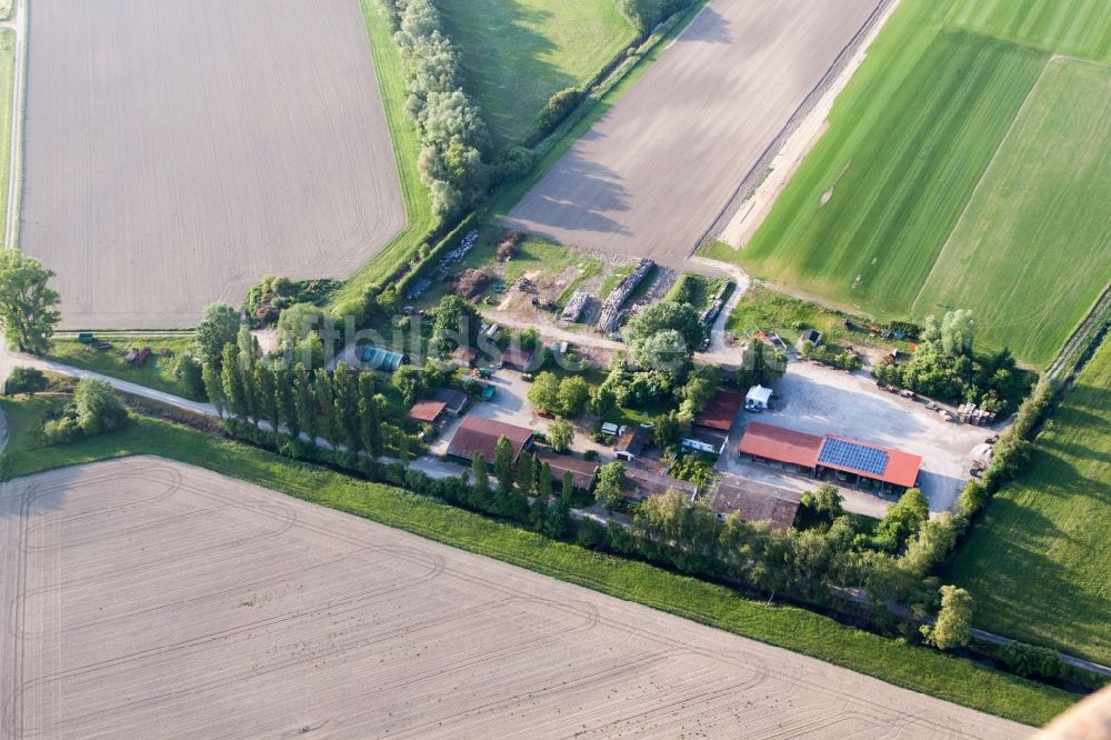 Luftaufnahme Philippsburg - Semler Rollrasen in Philippsburg im Bundesland Baden-Württemberg, Deutschland