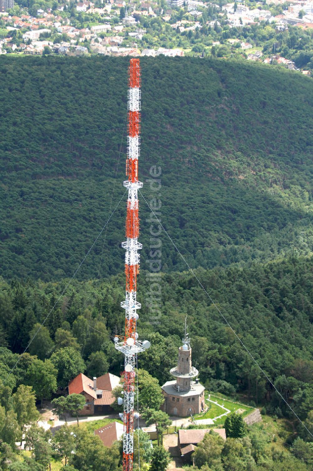 Neustadt an der Weinstrasse von oben - Sendemast bei Neustadt an der Weinstrasse