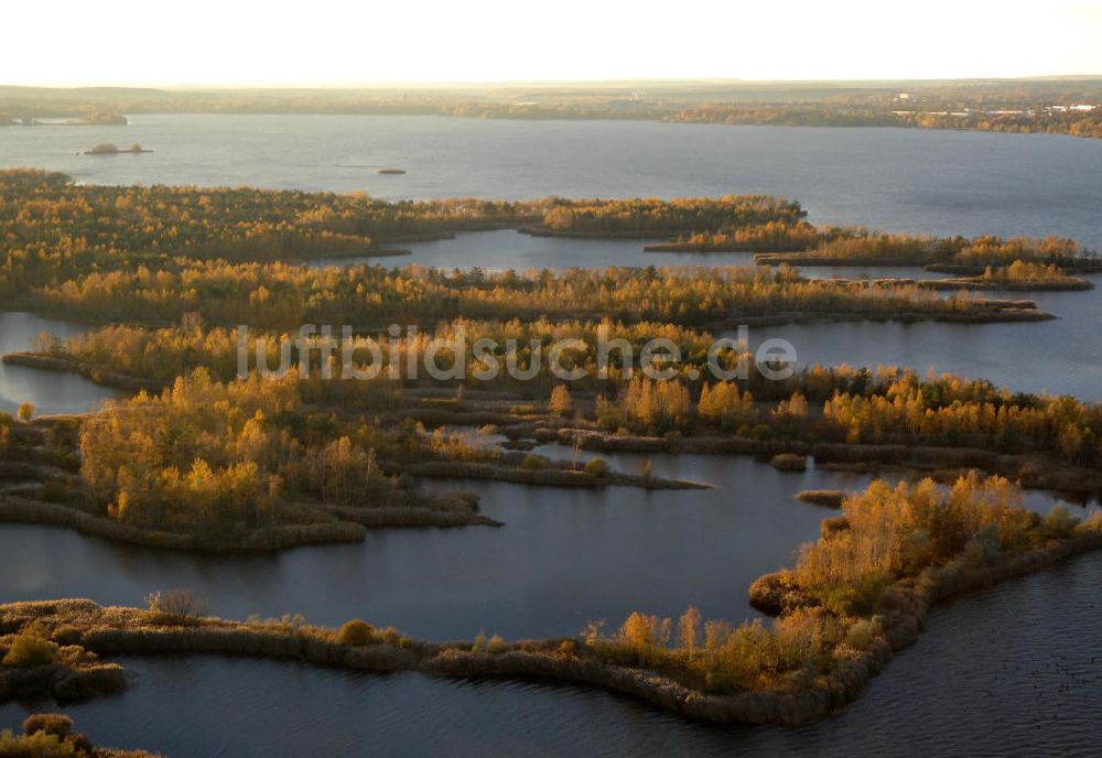 Senftenberg von oben - Senftenberger See mit Naturschutzgebiet