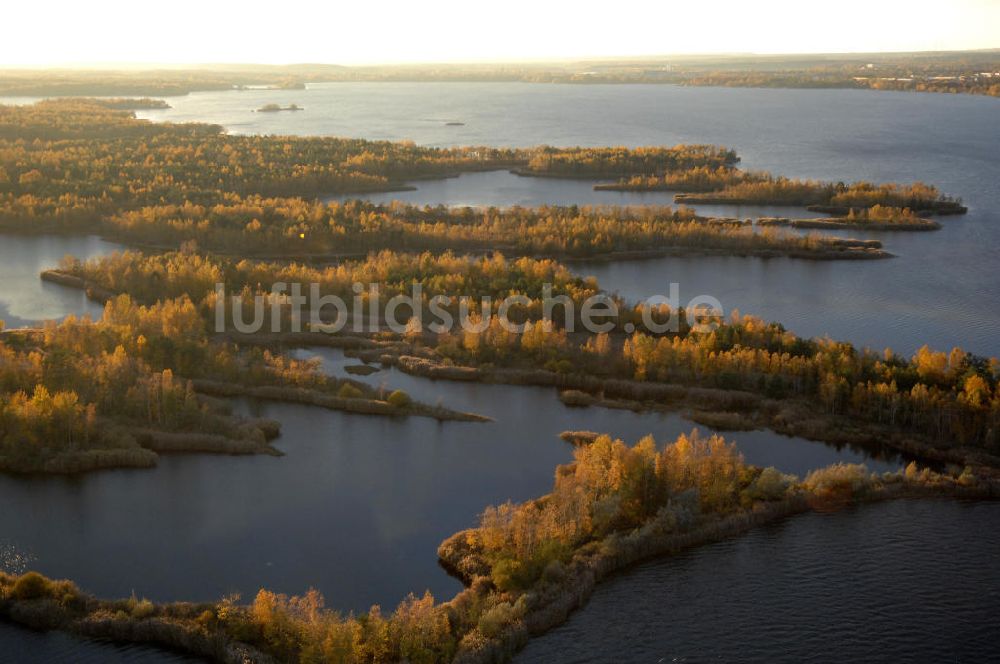 Senftenberg aus der Vogelperspektive: Senftenberger See mit Naturschutzgebiet