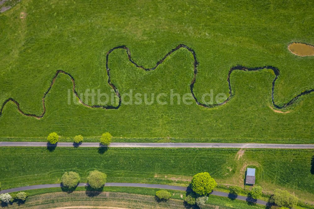 Luftbild Brilon - Serpentinenförmiger Kurvenverlauf eines Bach - Flüsschens Möhne in Brilon im Bundesland Nordrhein-Westfalen