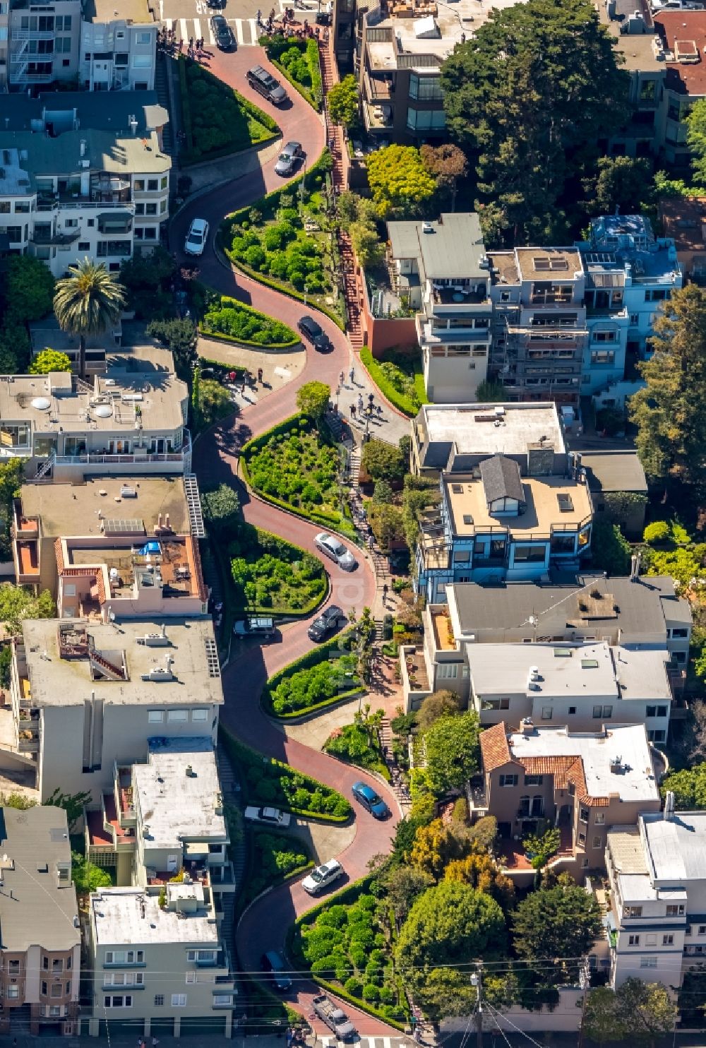 San Francisco aus der Vogelperspektive: Serpentinenförmiger Kurvenverlauf einer Straßenführung Lombard Street in San Francisco in USA