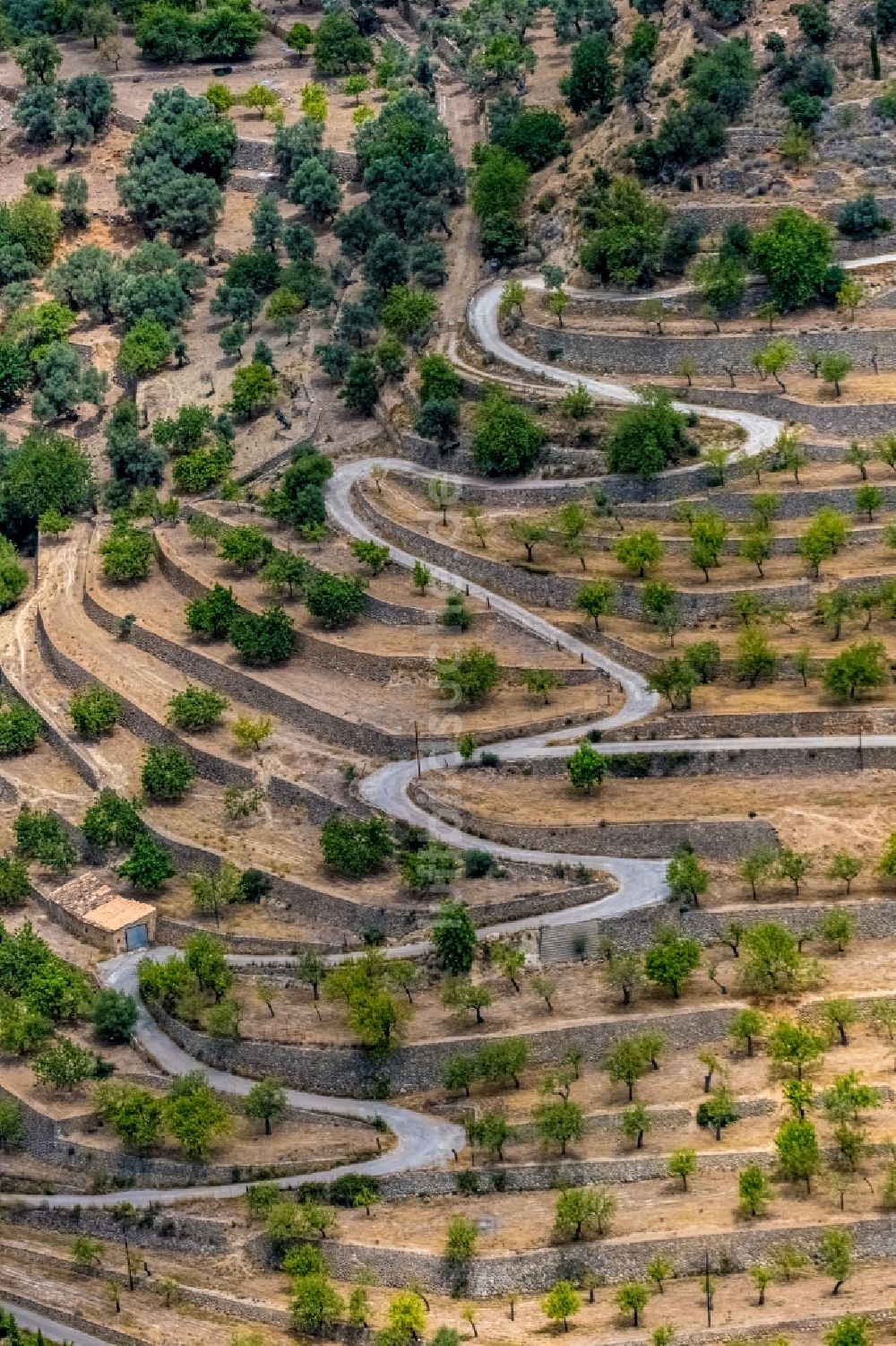 Bunyola von oben - Serpentinenförmiger Kurvenverlauf einer Straßenführung an der terrassenförmigen Landschaft entlang der Ma-202 in Bunyola in Balearische Insel Mallorca, Spanien