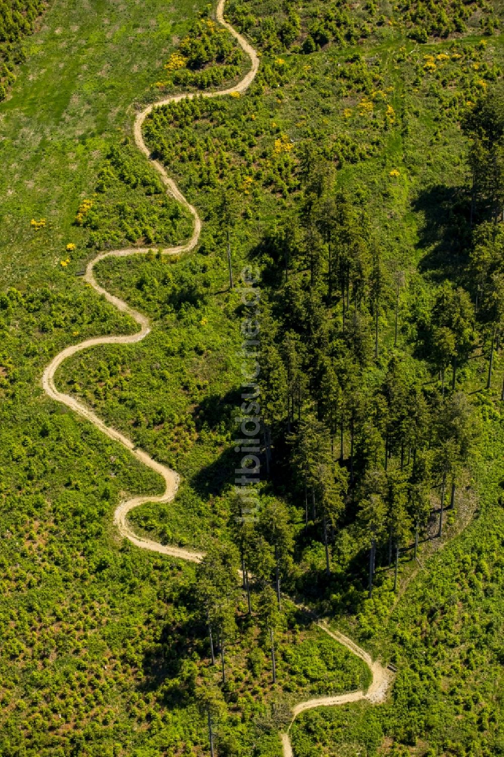 Winterberg aus der Vogelperspektive: Serpentinenförmiger Kurvenverlauf einer Wegführung in Winterberg im Bundesland Nordrhein-Westfalen