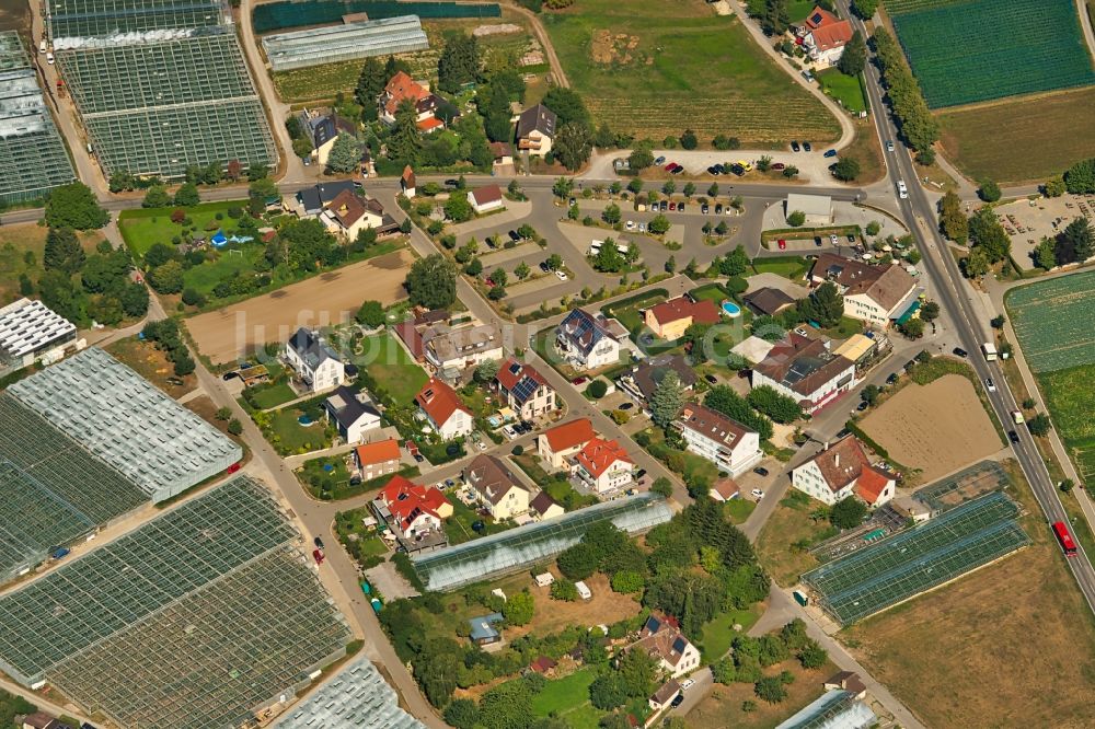 Reichenau aus der Vogelperspektive: Siedlung am See Insel Reichenau im Bundesland Baden-Württemberg, Deutschland