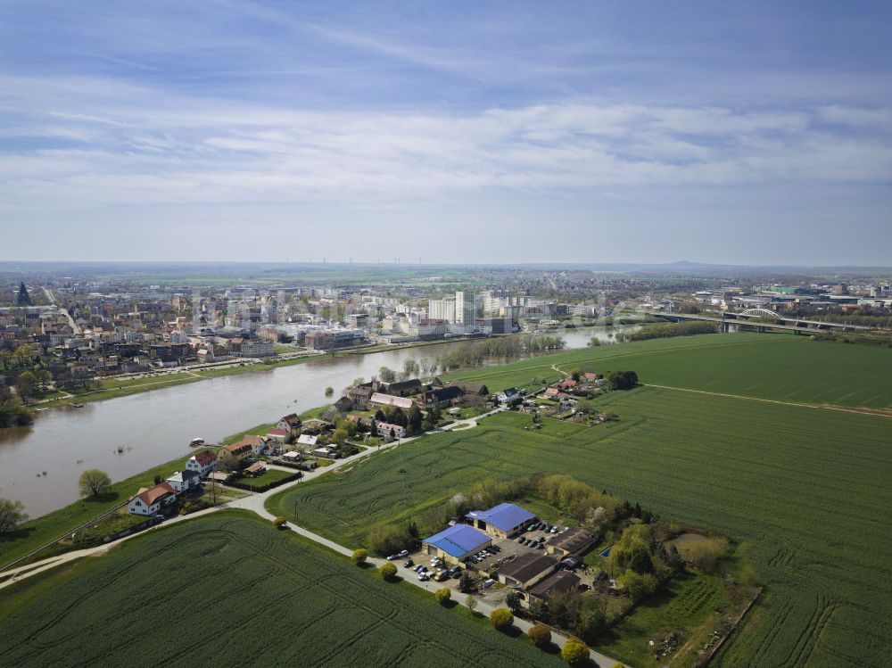 Riesa von oben - Siedlungsgebiet an der Elbe in Riesa im Bundesland Sachsen, Deutschland