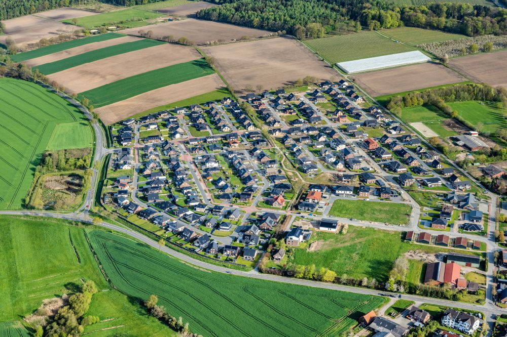 Horneburg aus der Vogelperspektive: Siedlungsgebiet in Horneburg im Bundesland Niedersachsen, Deutschland