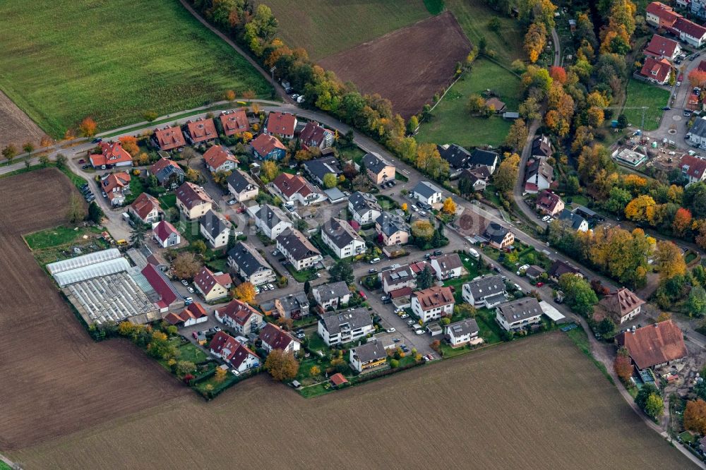 Kirchzarten aus der Vogelperspektive: Siedlungsgebiet in Kirchzarten im Bundesland Baden-Württemberg, Deutschland