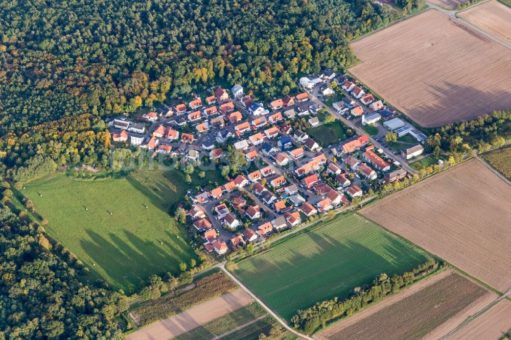 Schwegenheim von oben - Siedlungsgebiet im Ortsteil Vorderlohe in Schwegenheim im Bundesland Rheinland-Pfalz, Deutschland