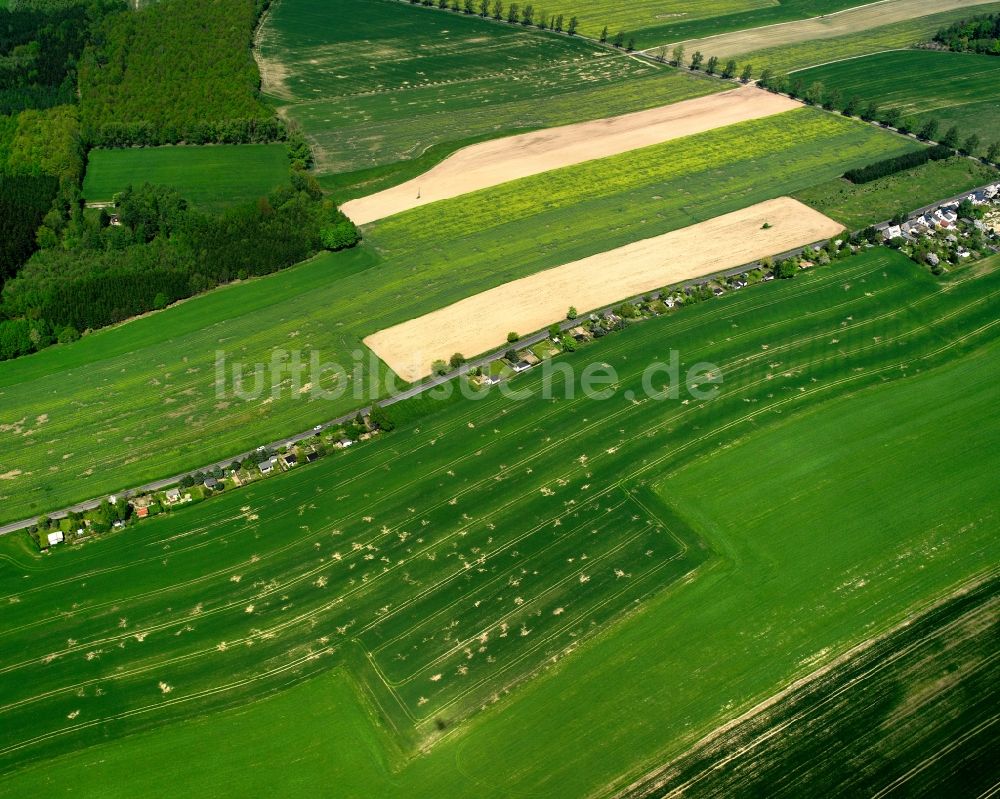 Luftaufnahme Burgstädt - Siedlungsgebiet an der Peninger Straße in Burgstädt im Bundesland Sachsen, Deutschland