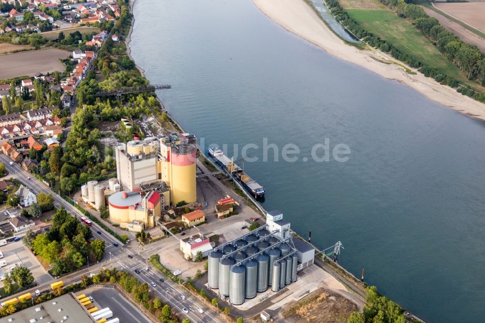 Worms aus der Vogelperspektive: Silo und Getreide- Speicher mit angrenzenden Lagerhallen der Proland Agrarhandel GmbH am Rheinufer im Ortsteil Rheindürkheim in Worms im Bundesland Rheinland-Pfalz, Deutschland