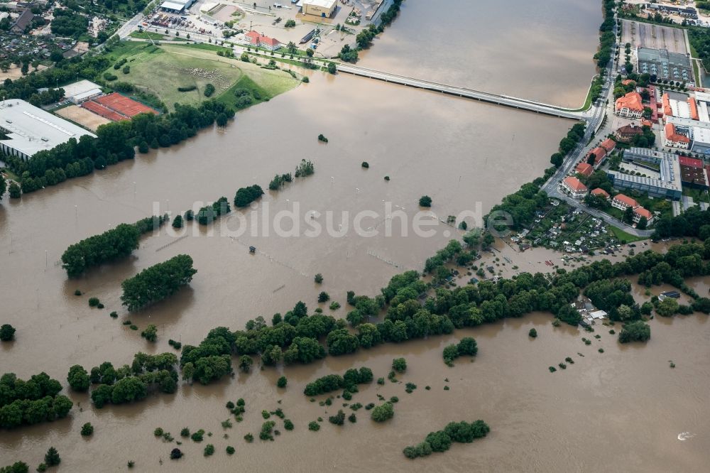 Dresden von oben - Situation während und nach dem Hochwasser am Ufer der Elbe bei der Messe in Dresden im Bundesland Sachsen