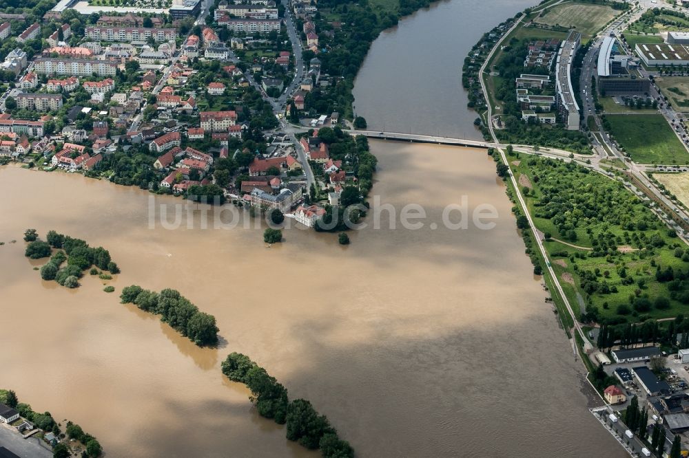 Dresden aus der Vogelperspektive: Situation während und nach dem Hochwasser am Ufer der Elbe bei der Messe in Dresden im Bundesland Sachsen