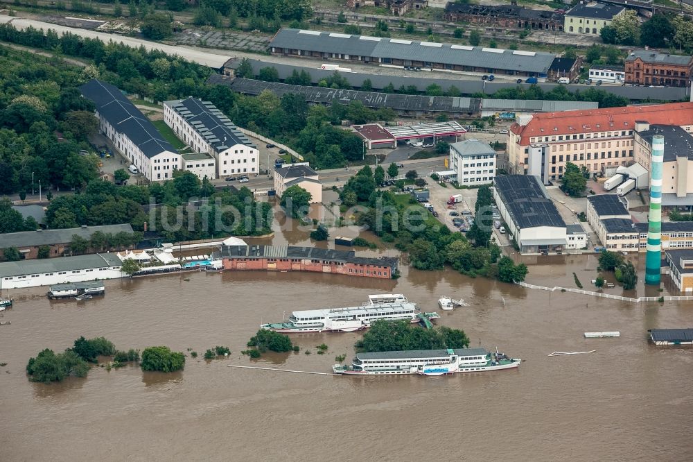 Dresden von oben - Situation während und nach dem Hochwasser am Ufer der Elbe in Dresden im Bundesland Sachsen