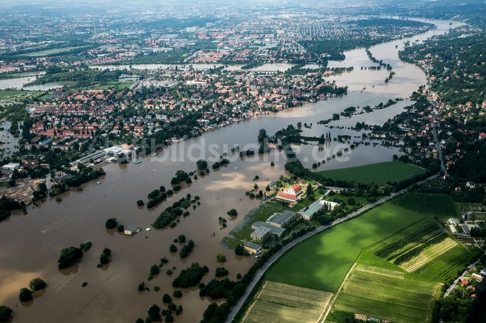 Dresden von oben - Situation während und nach dem Hochwasser am Ufer der Elbe in Dresden im Bundesland Sachsen