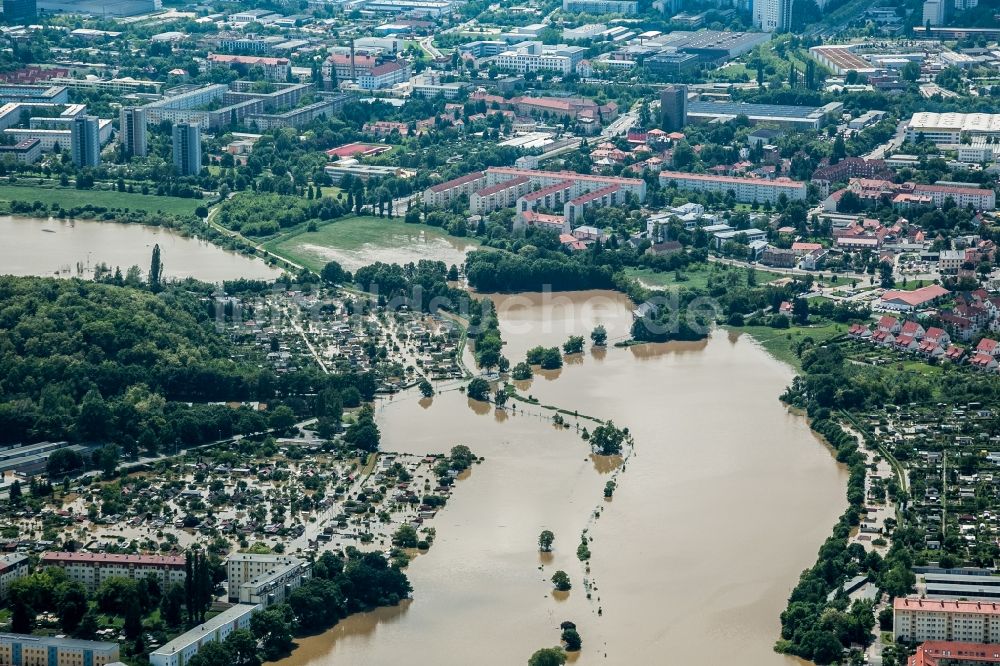 Dresden aus der Vogelperspektive: Situation während und nach dem Hochwasser am Ufer der Elbe in Dresden im Bundesland Sachsen