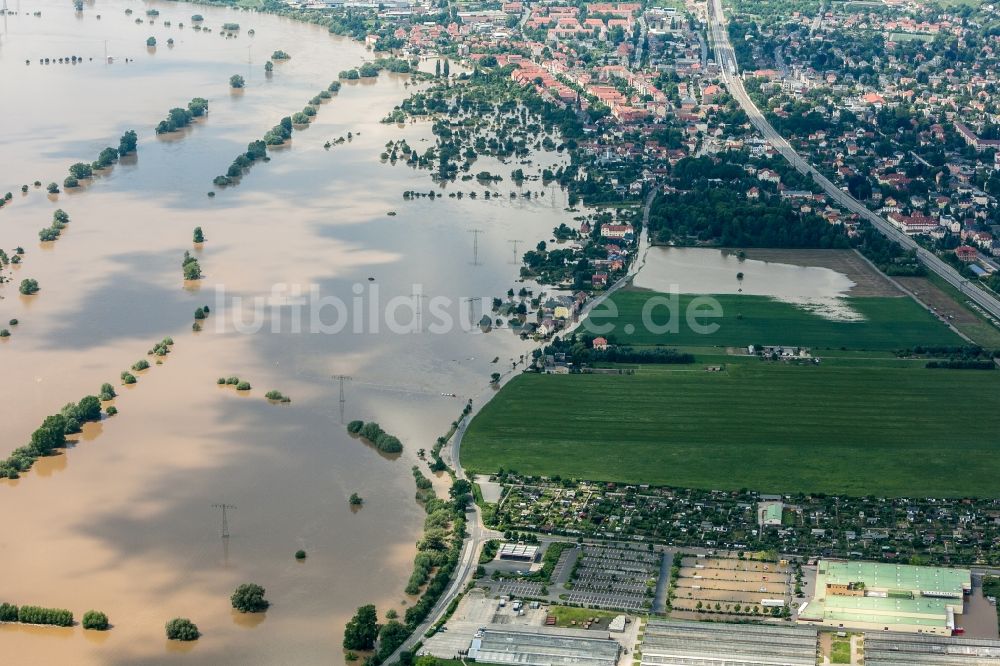 Luftaufnahme Radebeul - Situation während und nach dem Hochwasser am Ufer der Elbe in der Kreisstadt Radebeul im Bundesland Sachsen