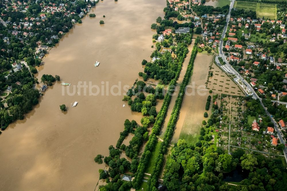 Luftaufnahme Dresden - Situation während und nach dem Hochwasser am Ufer der Elbe im Ortsteil Hosterwitz in Dresden im Bundesland Sachsen