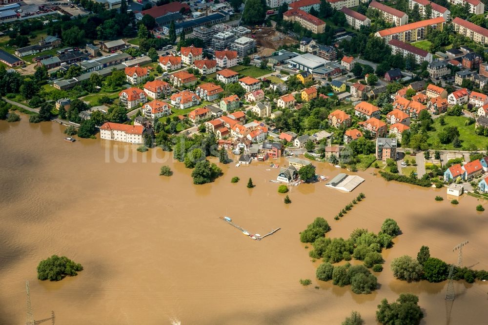 Luftaufnahme Radebeul - Situation während und nach dem Hochwasser am Ufer der Elbe am Stadtrand von Radebeul im Bundesland Sachsen