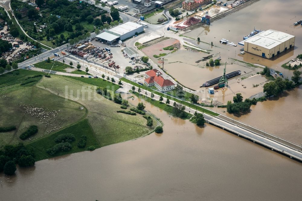 Luftaufnahme Dresden - Situation während und nach dem Hochwasser am Ufer der Elbe im Stadtteil Friedrichstadt in Dresden im Bundesland Sachsen