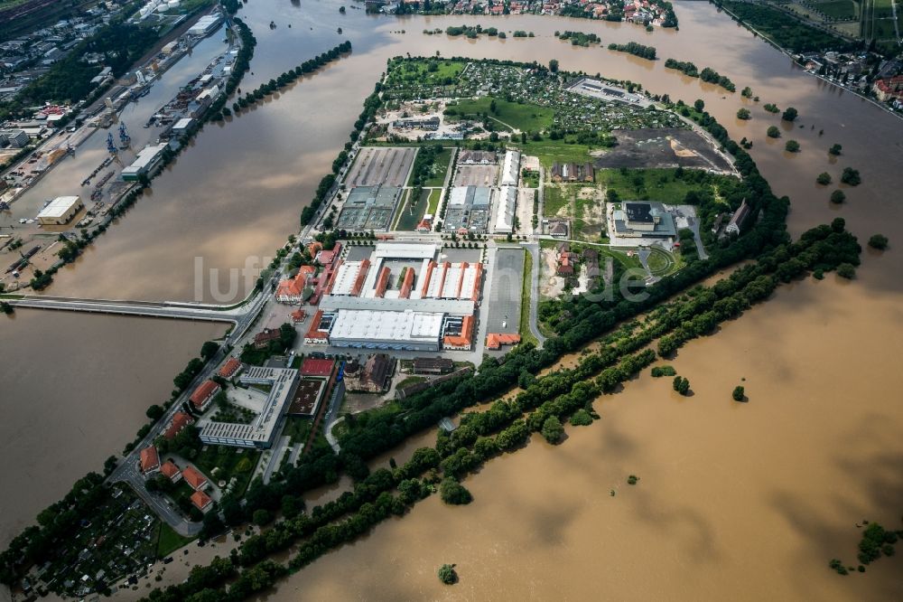 Dresden von oben - Situation während und nach dem Hochwasser am Ufer der Elbe im Stadtteil Friedrichstadt in Dresden im Bundesland Sachsen