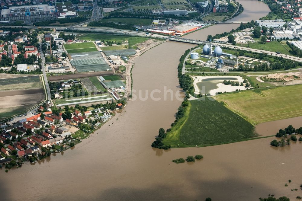 Dresden von oben - Situation während und nach dem Hochwasser am Ufer der Elbe im Stadtteil Kaditz in Dresden im Bundesland Sachsen