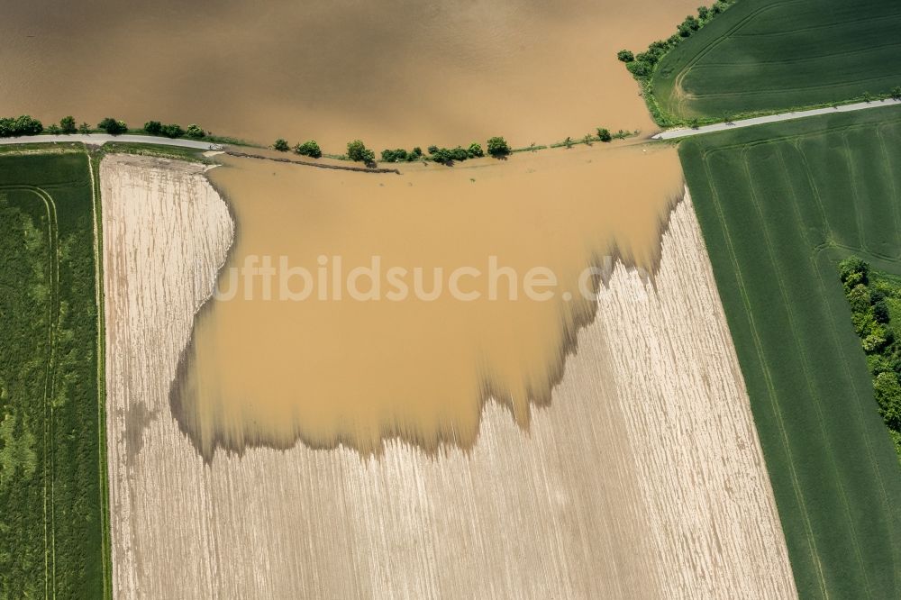 Dresden von oben - Situation während und nach dem Hochwasser am Ufer der Elbe im Stadtteil Kaditz in Dresden im Bundesland Sachsen