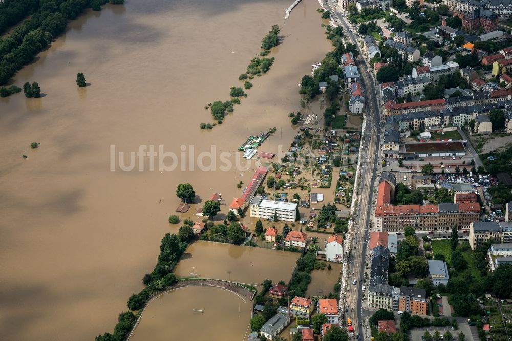 Dresden von oben - Situation während und nach dem Hochwasser am Ufer der Elbe im Stadtteil Pieschen in Dresden im Bundesland Sachsen