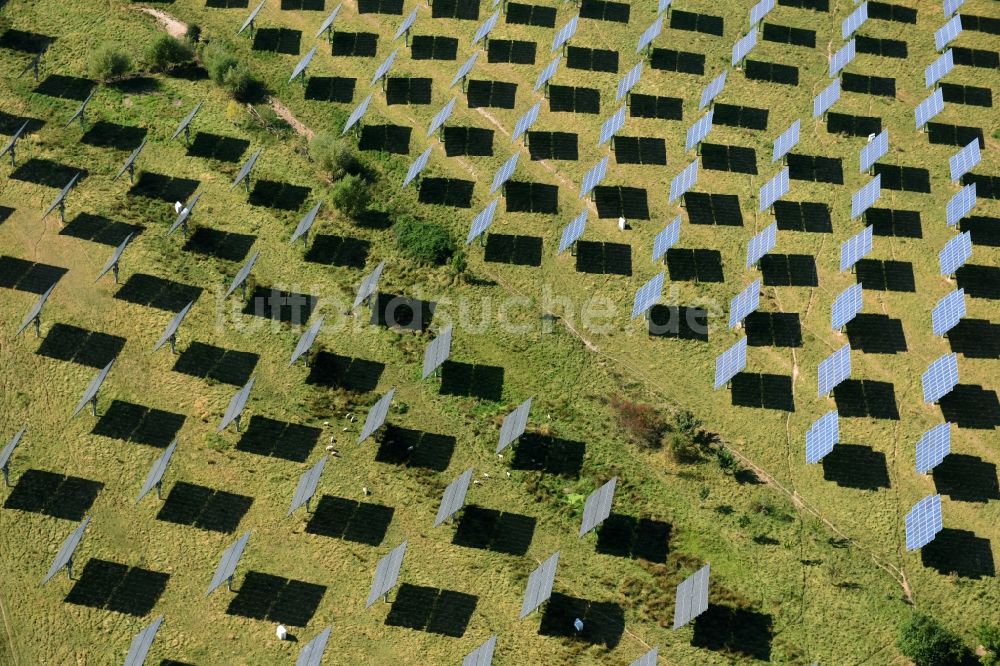 Luftbild Grimma - Solarpark bzw. Solarkraftwerk der Kirchner Solar Group GmbH in Grimma im Bundesland Sachsen